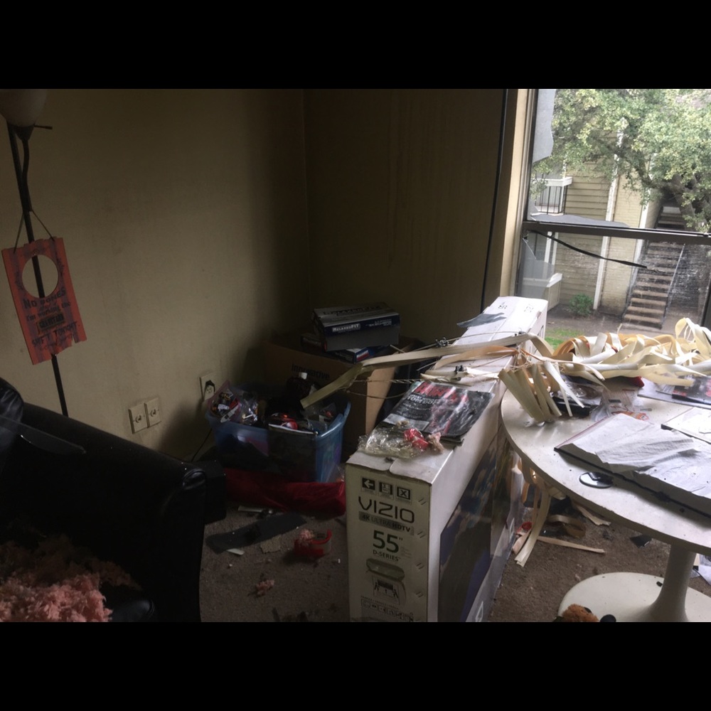 🔥 Fire Recovery! All sales going to my gofundme - Picture 4 of 8